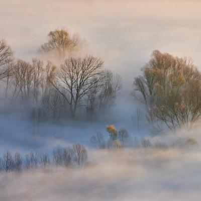 The Adda River shrouded in fog.