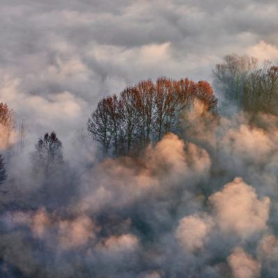 The Adda River shrouded in fog.