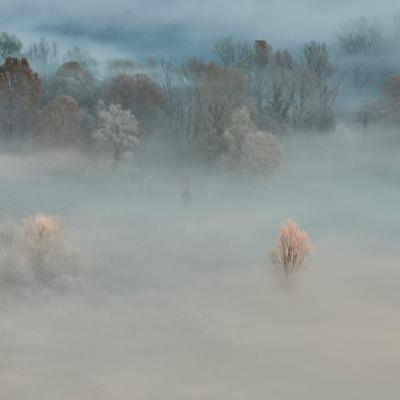 The Adda River shrouded in fog.