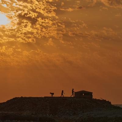 I thought about the stages of human evolution.